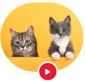 Screenshot 2025-10-08 164854