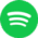spotify-icon